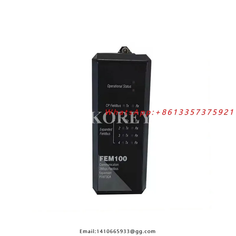 I/A Series Communication Module FEM100 P0973CA