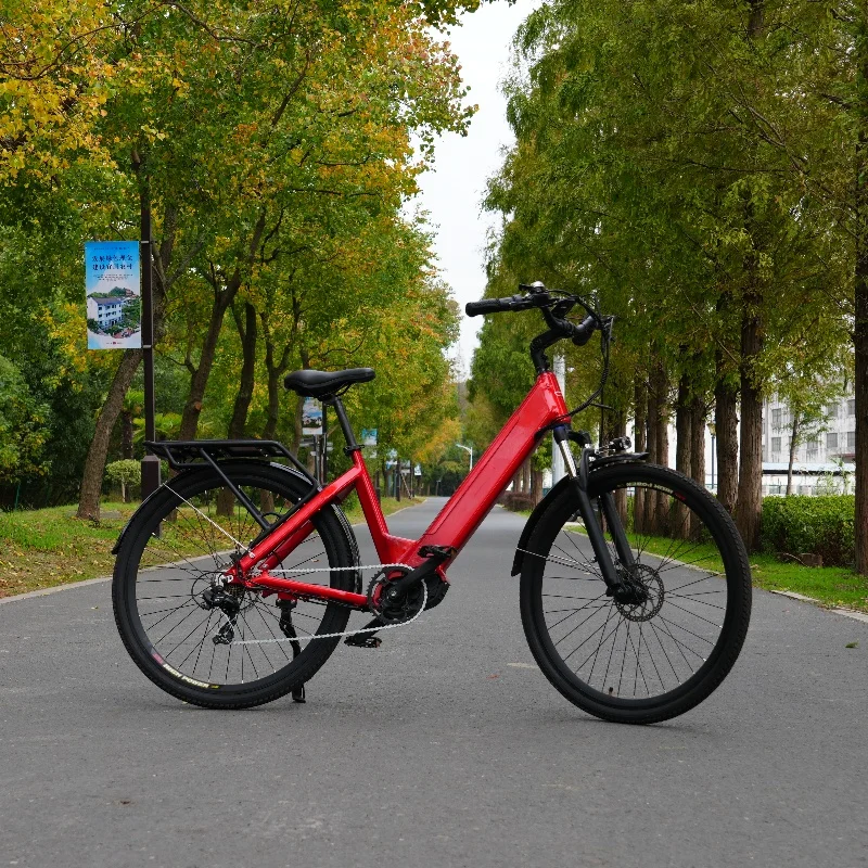 

Hot Selling Wholesale Price Electric Bicycle For Men And Women Power-Assisted Variable Speed Commuting Light Electric Bicycle