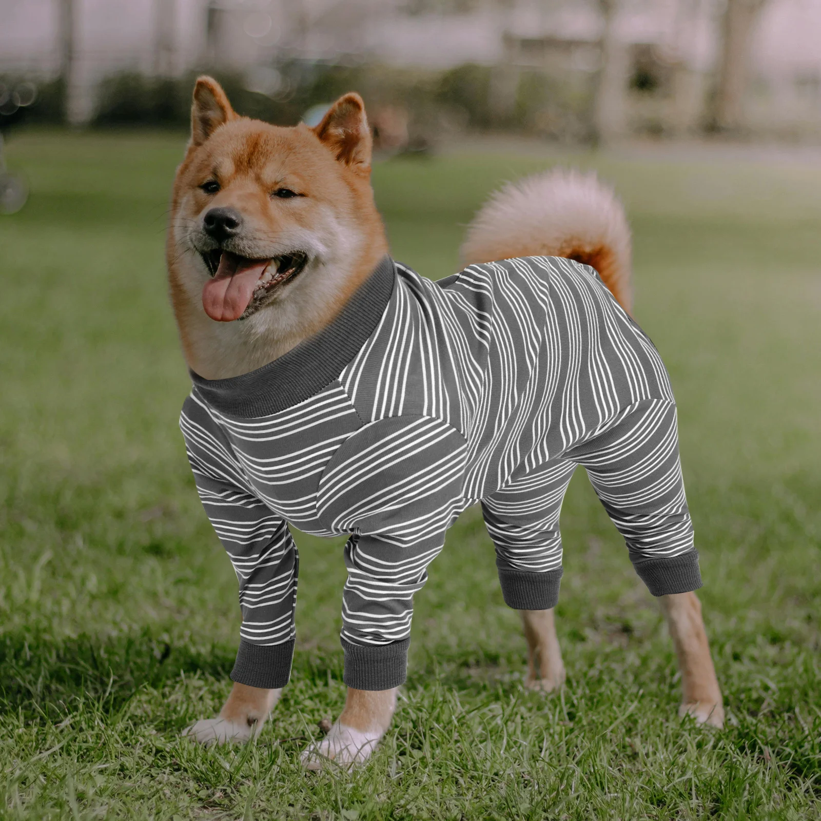 

Dog Recovery Suit Grey Long Sleeve Small Medium Dog Surgery Shirt Postsurgery Protection Antishedding Pet Clothes