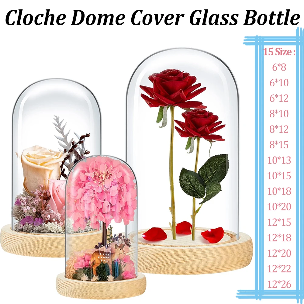 Large 15 Sizes Rustic Wood Base Glass Cloche Bell Jar Dome A Dustproof Display Case for Plants Specimens and DIY Tabletop Decor