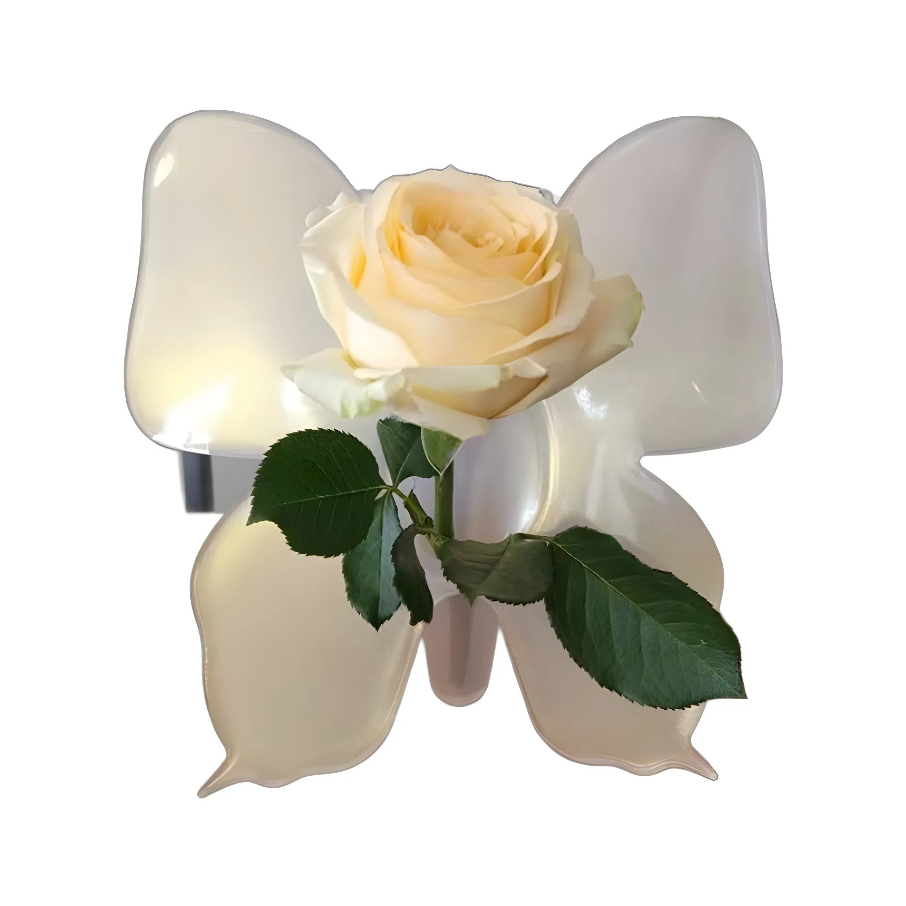 Modern Minimalist Acrylic Butterfly Vase Desktop Decoration Flower Hydroponic Planter Transparent Bedroom Living Ornament