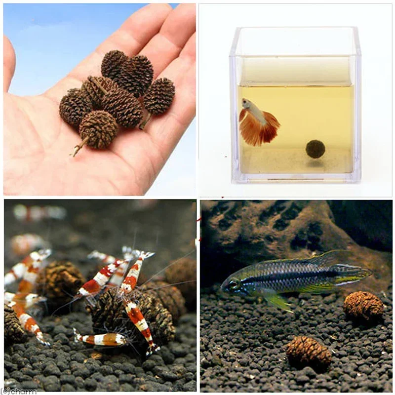 20pcs/lot Alder Cones Anti-Bacterial PH Minus Water Treatment Fish Shrimp Tank Aquarium