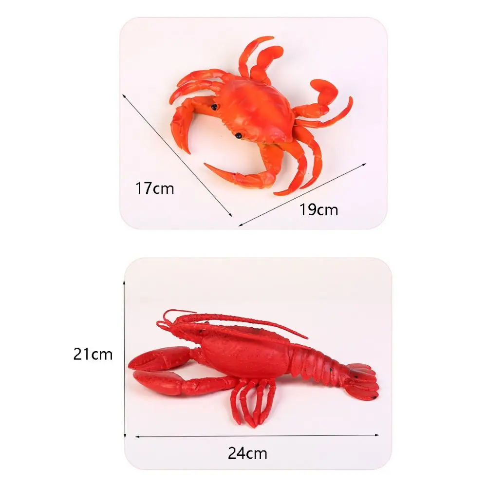 Crab Fancy Toys New Educational Kids Marine Animal Model Pinch Lobster Music Toys Cognitive Gifts