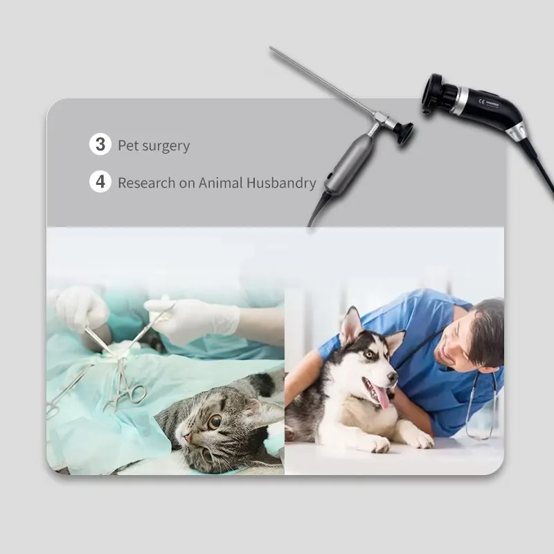 

Medical Grade USB Endoscope Camera with C-Mount Coupler for Veterinary ENT Surgery and Clinical Examination for Animal Care