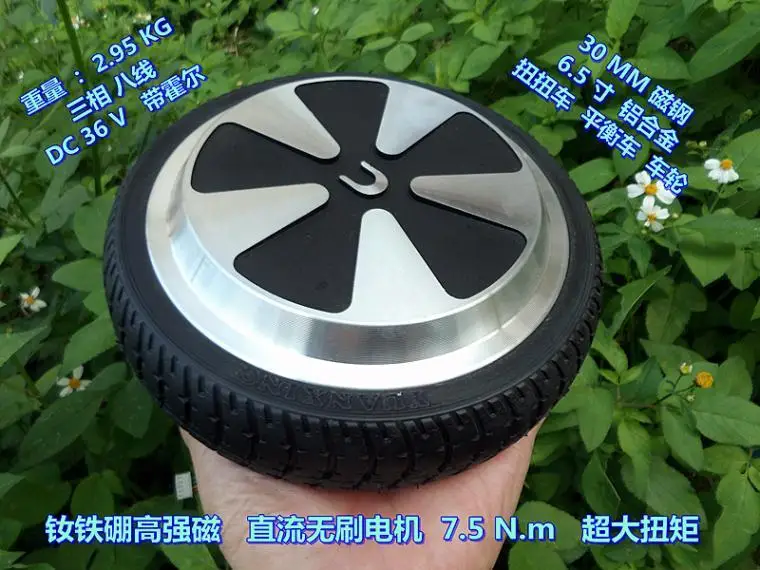 6.5 Inch DC36V/24V Brushless Wheel Motor High Power High Torque 7.5 N.m Balance Car Twisting Car Power Wheel