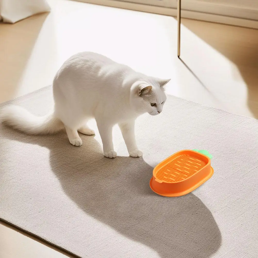 Carrot Cat Grass Box Soilless Hydroponic Cat Snack Grass Mint Flower Cat Grass Grass Cat Potted Pot Box Cat Cat N4F0