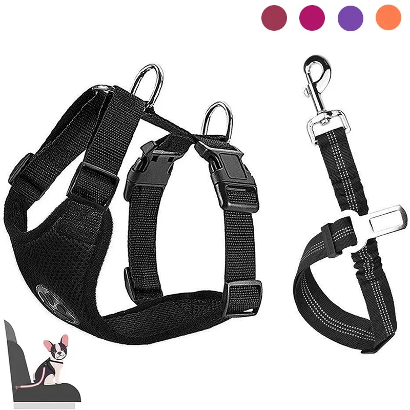 #24 Best Dog Car Safety Harnesses to Buy In 2026