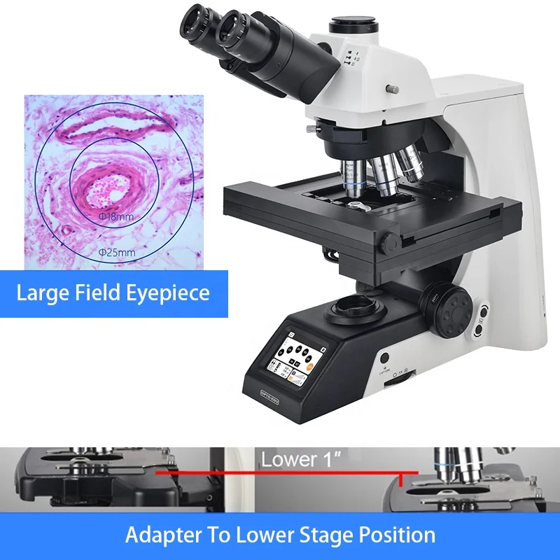 A12.1095 Factory China Supplier Full-Auto Motorized Biological Compound Trinocular Microscope