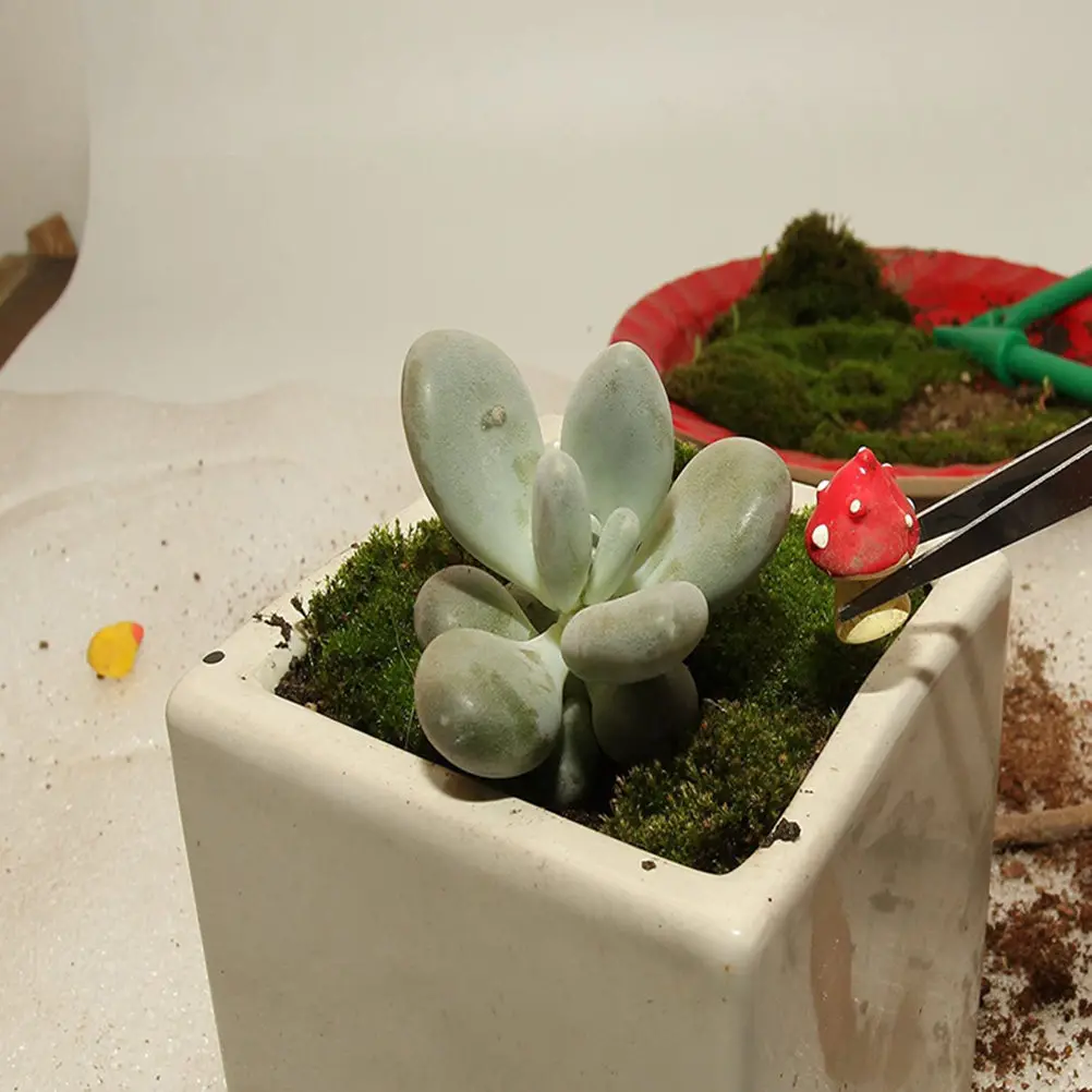 

Набор из 7 профессиональных легких садовых инструментов для балкона и сада с инструментом для пересадки, лопаткой и лейкой