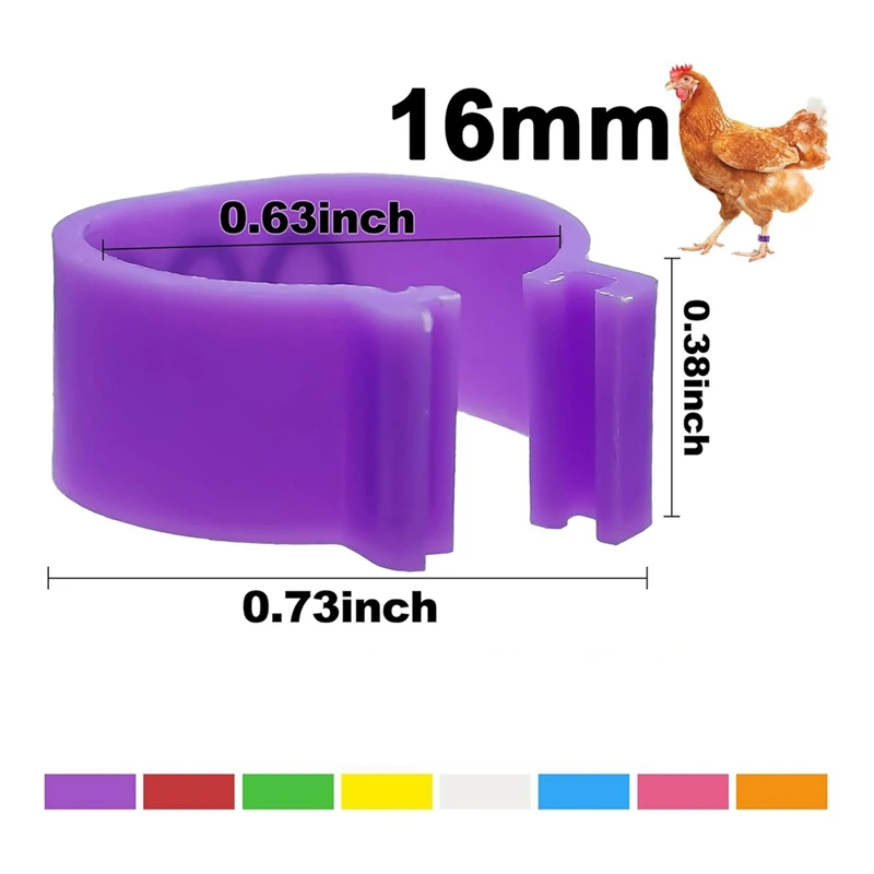 80 pezzi 16 mm fasce per gambe di pollo con 8 colori, colorate 01-80 fasce per gambe per identificazione di pollo numerate etichetta per gambe di anatra di pollame