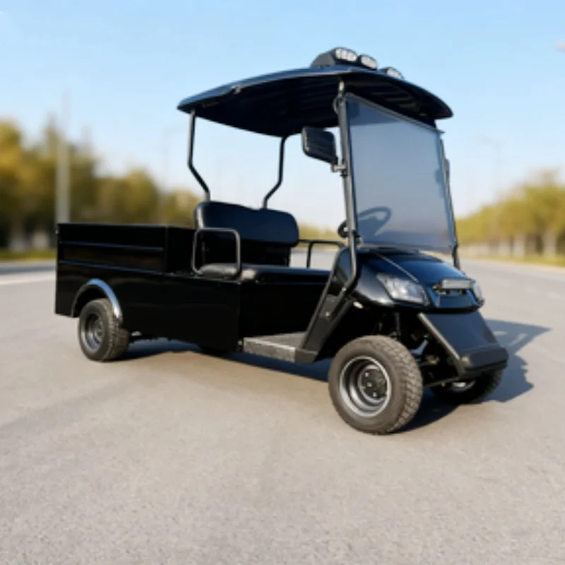 

Новая 2-местная электрическая мини-тележка для гольфа, 2-местная экскурсионная багги-клуб, автомобиль с задним грузовым ящиком, светодиодные полосы на крыше, грузовая тележка