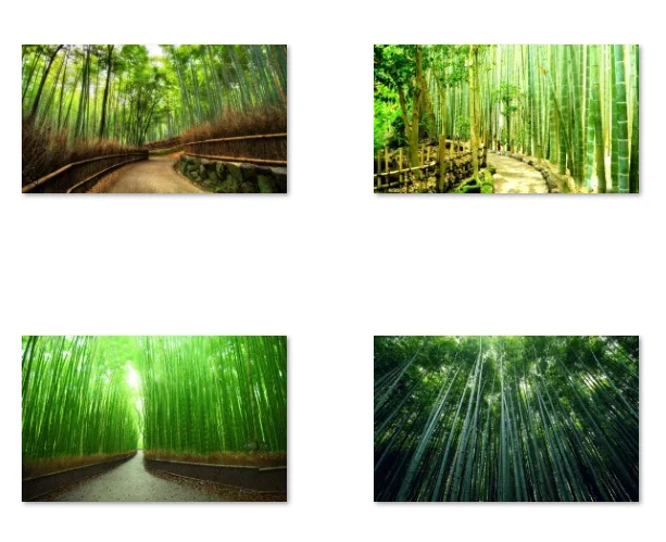 8Style Choose Bamboo Forest Tropical, Art Print Silk Poster Home Wall Decor