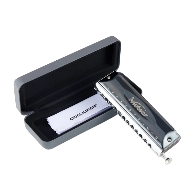 12-Hole Professional Mouth Organ Harmonica High Quality Key of C Black