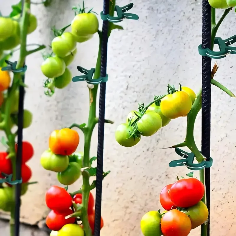 Clips ajustables para plantas de 20 piezas, soportes de jardín reutilizables para vides, tomates y flores, herramientas de jardinería de plástico duraderas