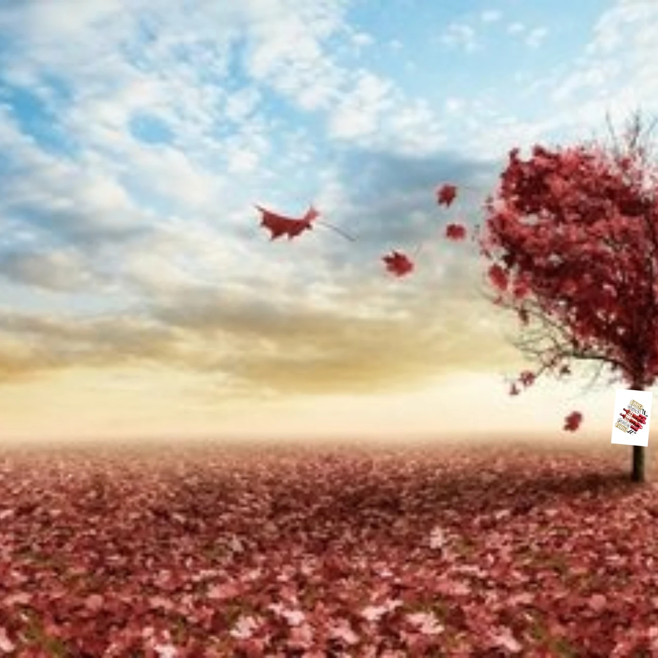 

GPM Alloy Front Adjust L-Shape Piggy Back Shocks TRAXXAS 1/10 Rustler Ford ST