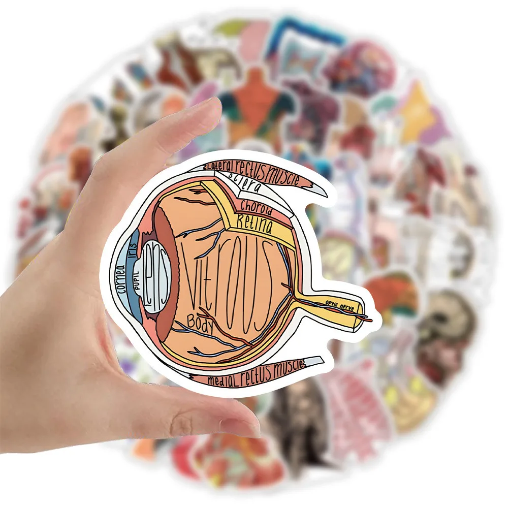 50 قطعة ملصقات التشريح البشري |   شارات نظام الأجهزة المقاومة للماء للطلاب والتكنولوجيا المتوسطة (متجر Anime Worlds)