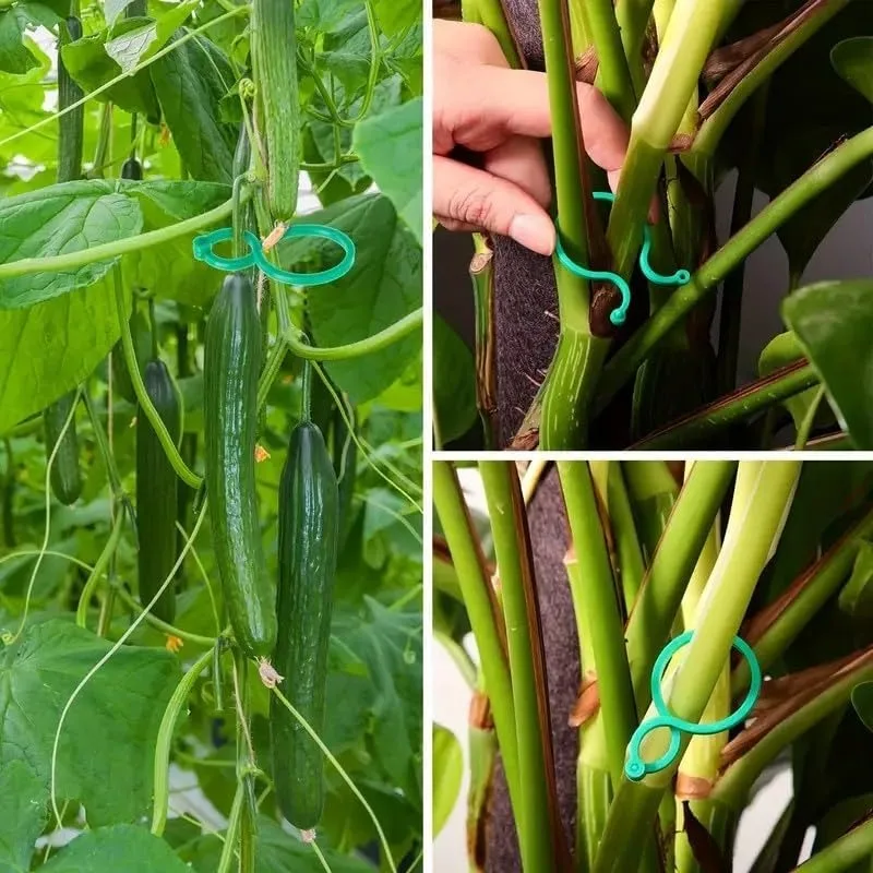 50/100Pcs Reusable Adjustable Plant Support Clips, Sturdy Plastic Garden Clips for Tomato Vine Flower and Vegetable Stakes