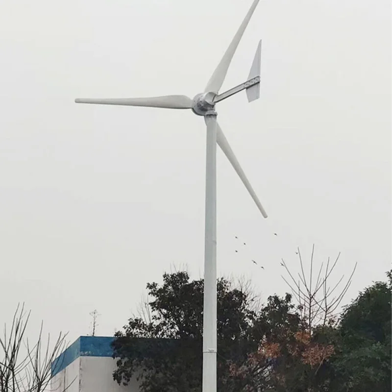 Factory Direct Sales EPA Compliance Certification Wind Turbine Windmill Generator For Home Blade Wind Power Generator
