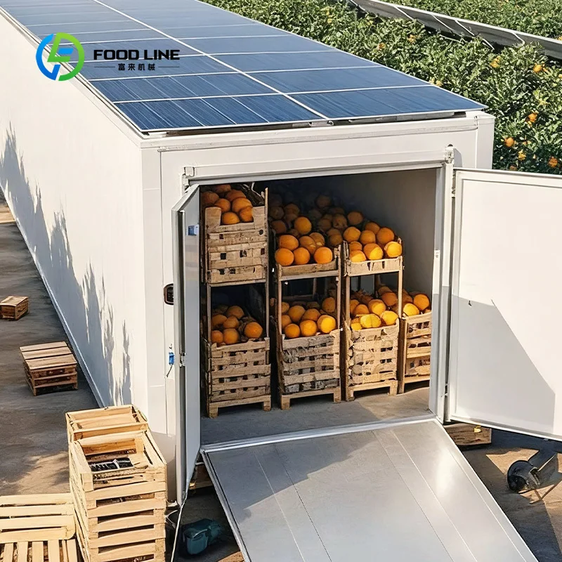 Cold Room Refrigeration Freezer Industrial Commercial Food Storage Preservation Quick Freeze Unit