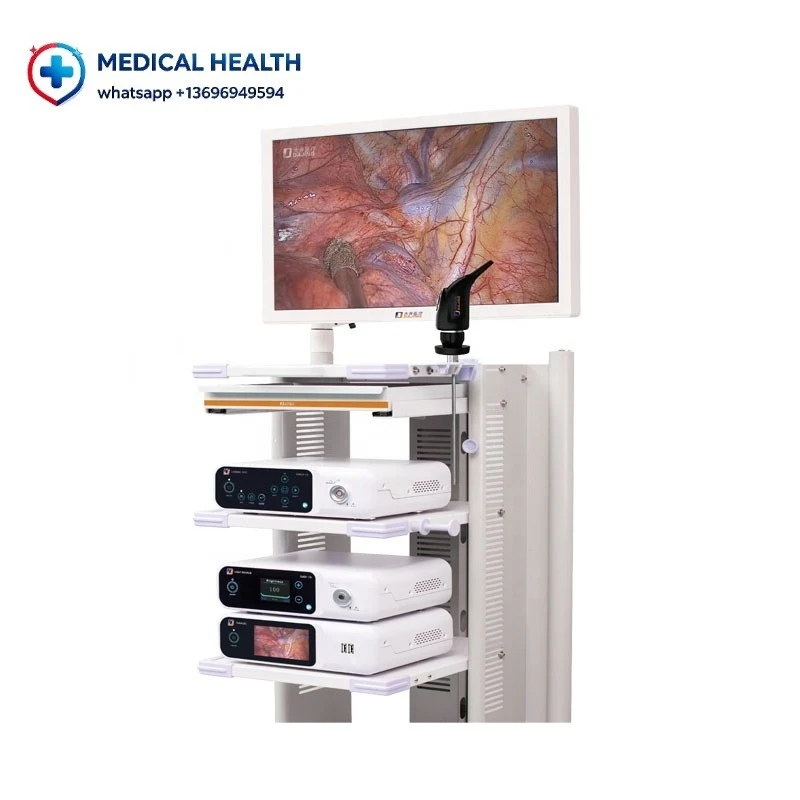 4KEndoscopic Video Recording Device, Minimally Invasive Visual Auxiliary Instrument for Daily Inspection & Observation Scenarios