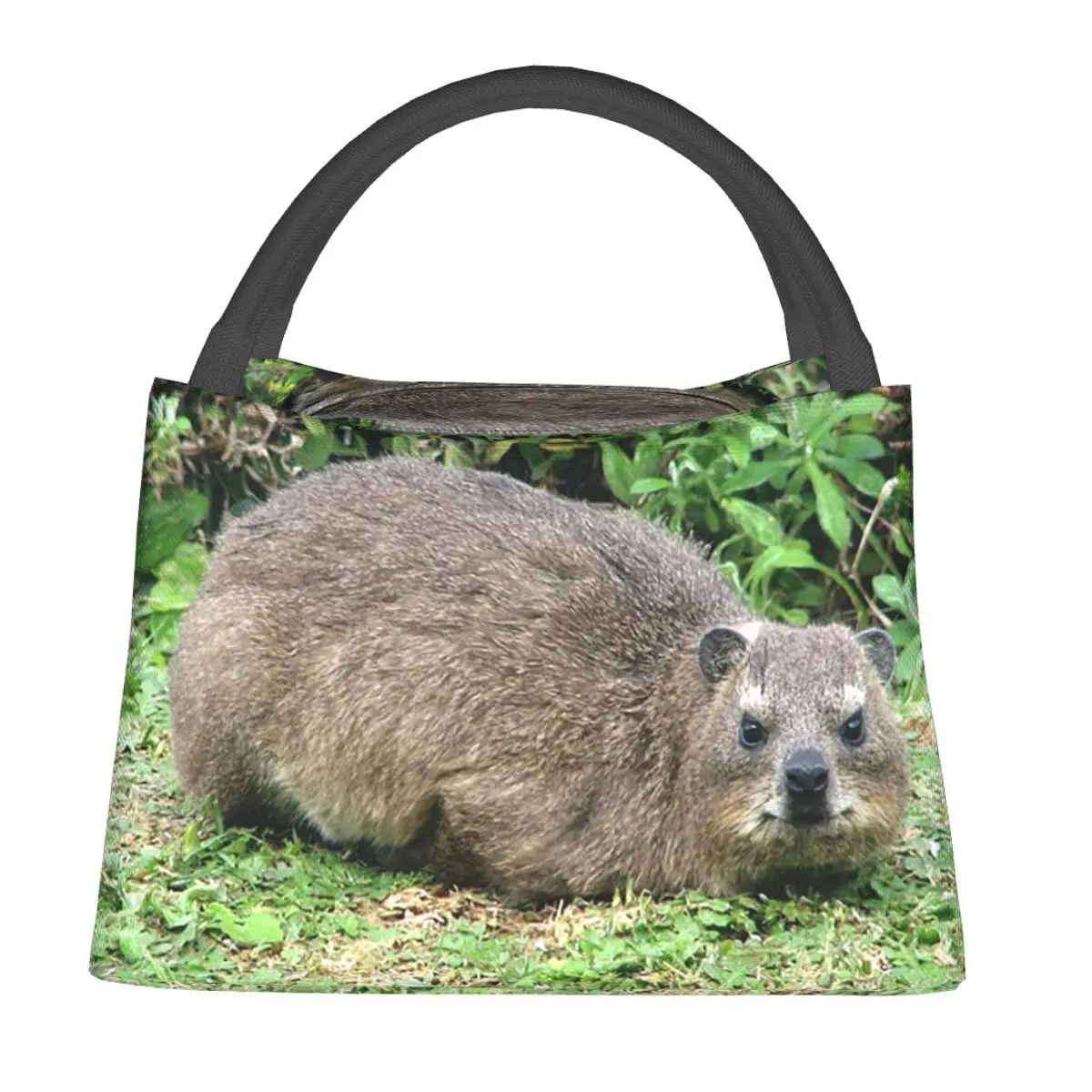 Dassie Rock Hyrax Table Mountain South Africa Lunch Bags Bento Box Lunch Tote Picnic BagsThermal Bag for Woman Student Office