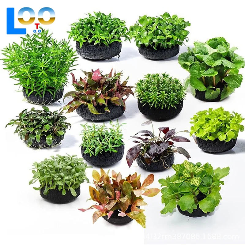 2 قطعة خزان الأسماك السوداء العشب المياه زراعة الركيزة حماية النباتات المائية الجذر حوض السمك قاعدة زخرفة الزخرفية