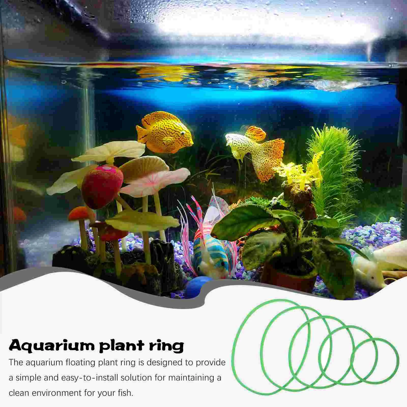 5 Pcs Bowl Floating Plant Fence Fish Isolation Accessories Tanks Duckweed Rings