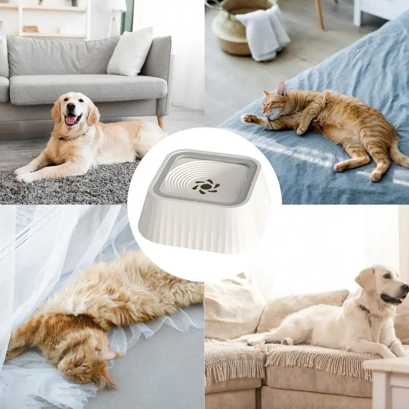 Pet Water Fountain Floating Non-wet Mouth Anti-Spill Pet Water Bowl Separate Pet Water Fountain Filter Dog Basin Pet Supplies