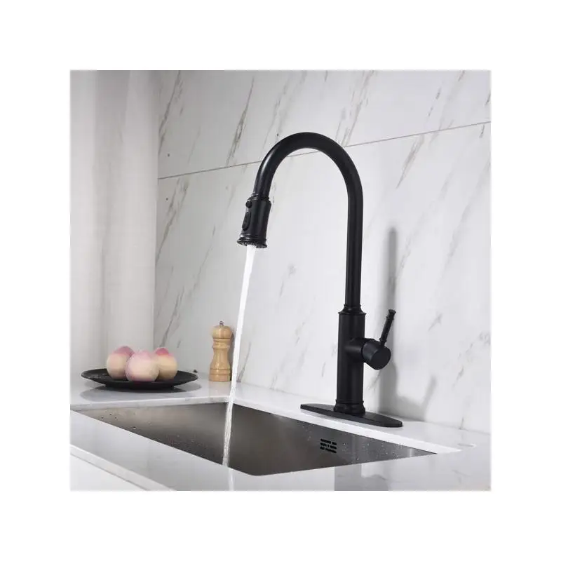 

Single-Handle Pull-Down Kitchen Faucet with Dual-Function Sprayhead and Easy Installation