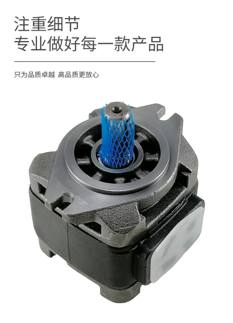 Internal gear pump HG0/HG1/HG2-25/32/40/50/63/100/160-01R-VPC servo pump