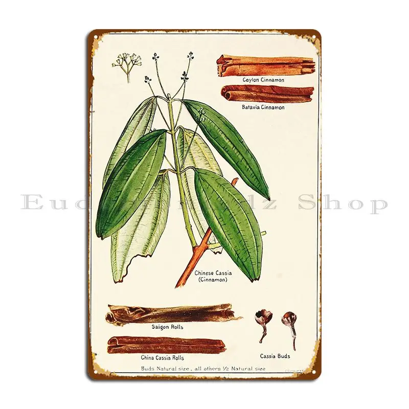 Cinnamon Cassia Vintage Botanical Illustration Metal Plaque Poster Wall Decor Club Designs Cave Pub Tin Sign Poster