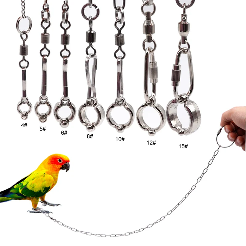 Stainless Steel Parrot Leg Ring with Chain Bird Ankle Foot Chain Ring Anti Bite Wire Rope Outdoor Flying Training Accessories