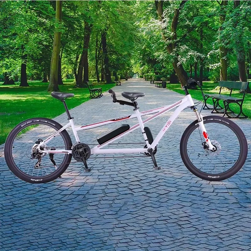 Electric series two-seat folding electric series bicycle