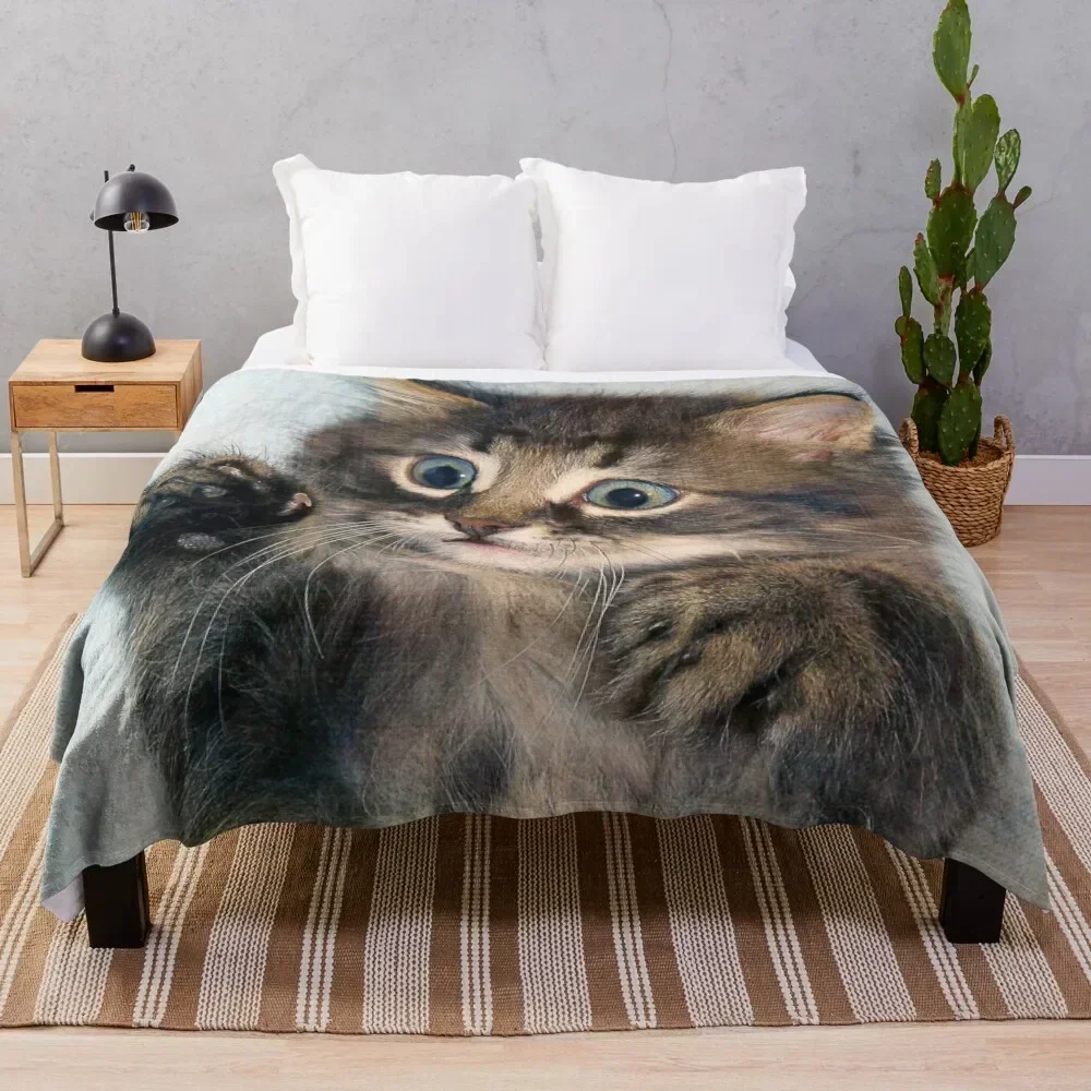 

Kitten Throw Blanket All Weather Soft Throw Blanket for Sofa