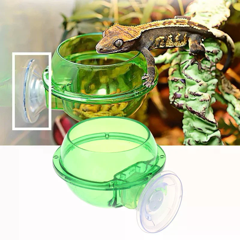 1pc Arboreal Reptile Live Anti-escape Sucker Feeder Bowl Insect Worm Food Container For Lizard Gecko Chameleon Reptile Pet Bowl