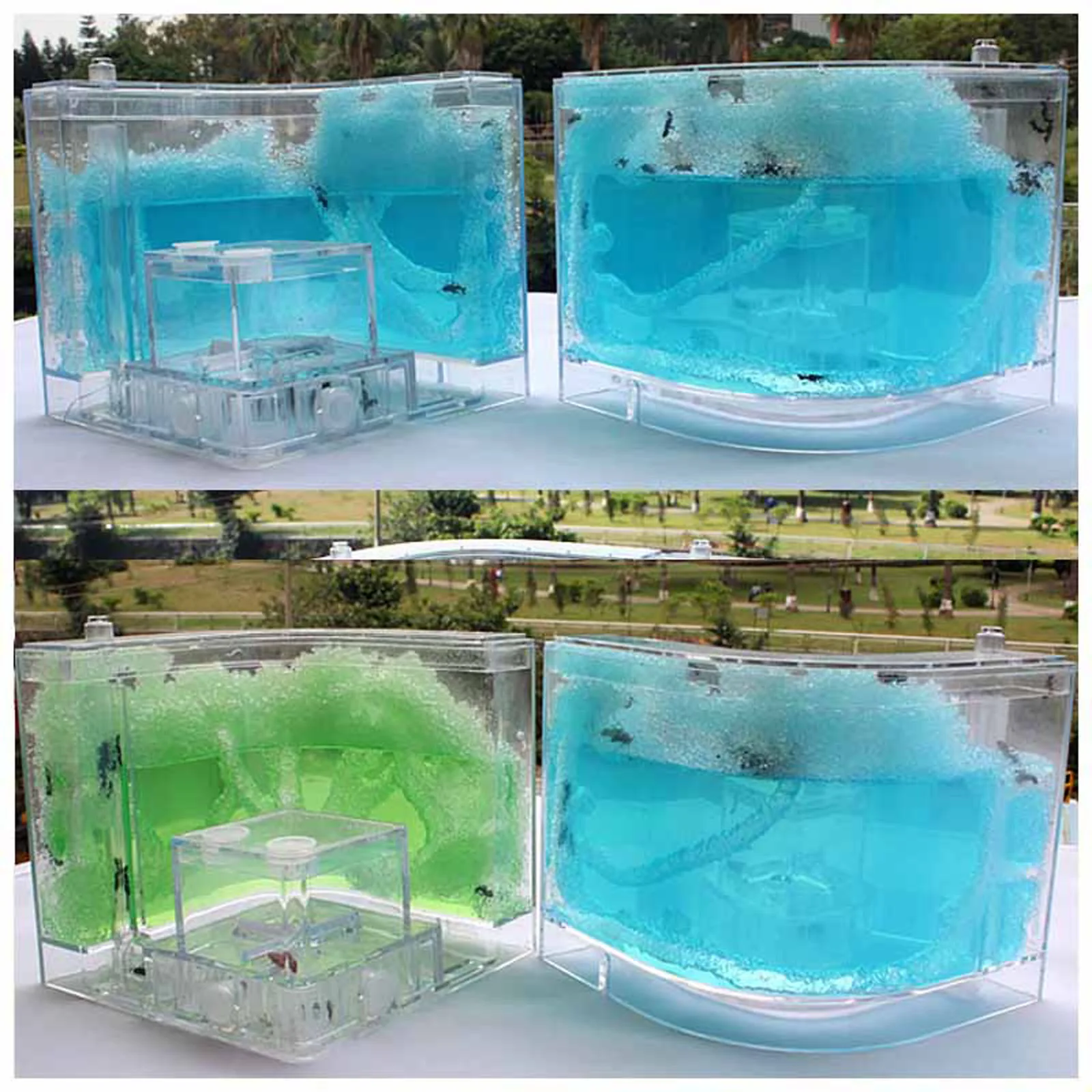 Live Feeding System  Maze Educational & Learning Science Kit Toy for Study of Social Structure