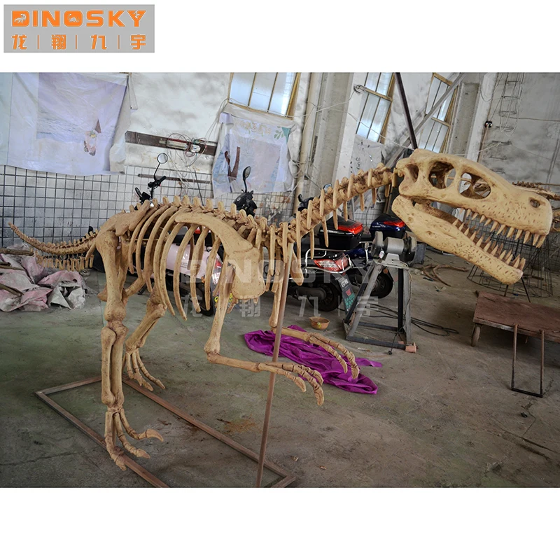 ATV&UTVHandcraft Velociraptor Skeleton Fossils Dinosaur museum Display DINOSKY