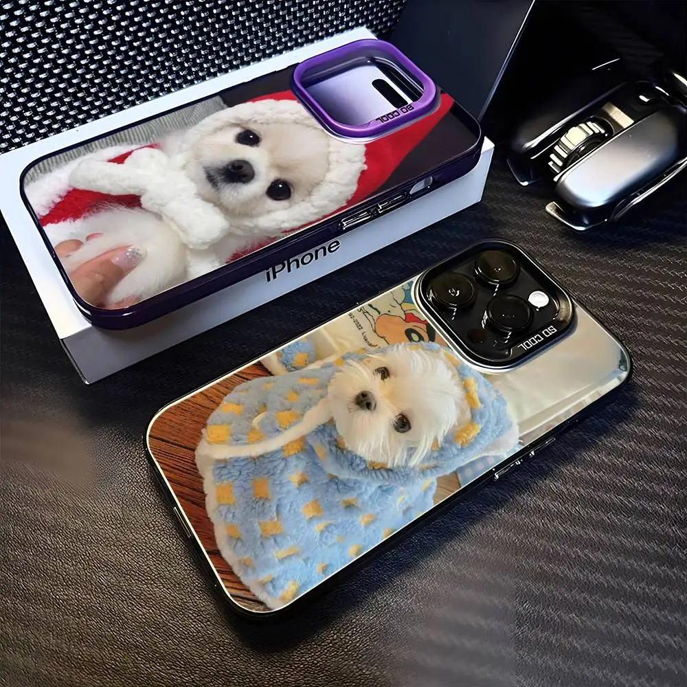 

Soft And Cute Pomeranian Dog Phone Case For iPhone 16,15,14,13,12,11,Mini,Pro,MAX Purple Matte Shockproof Cover