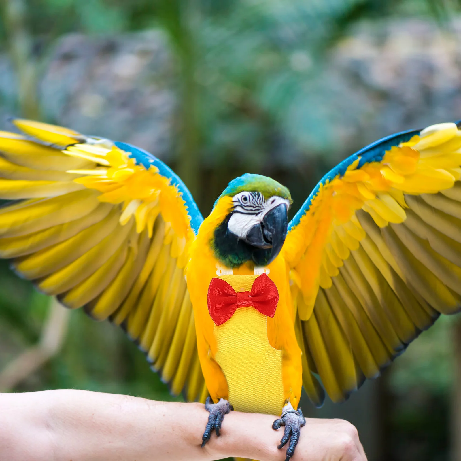 

Diapers Flight Suit for Parakeet Cockatiel Macaw Clothing Conure Pants Flying Pet Care Accessory