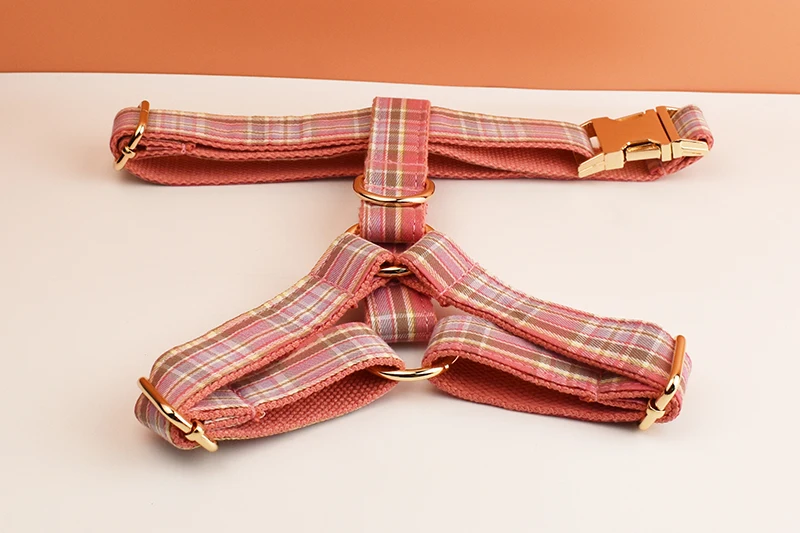 Kariertes Hundehalsband und Leinen-Set für Hunde, individuell graviertes Namensschild, Heimtierbedarf, Hundeleine, Gittermuster 14 – Detail 6