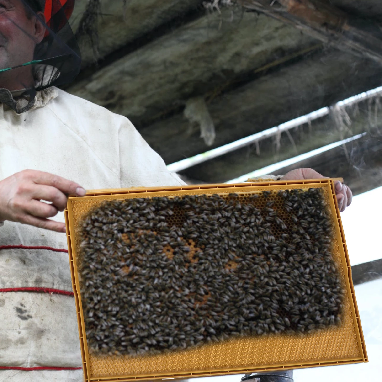

Plastic Beehive Foundation Sheets Healthy Material Tool for Beekeepers Durable Honeycomb Holes Neat Edge Use Smoothly