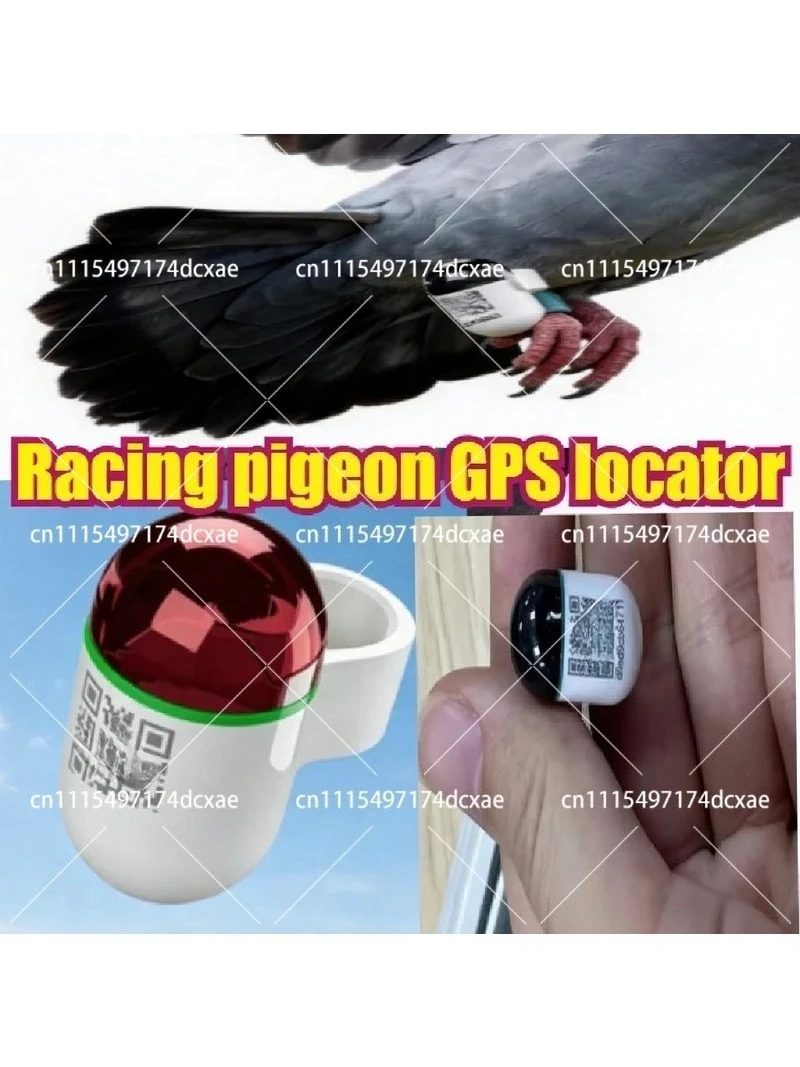 GPS Ring for Racing Pigeons Training Tracker, Accurate Speed Data Analysis Locator, 1-20pcs Daily Training Device