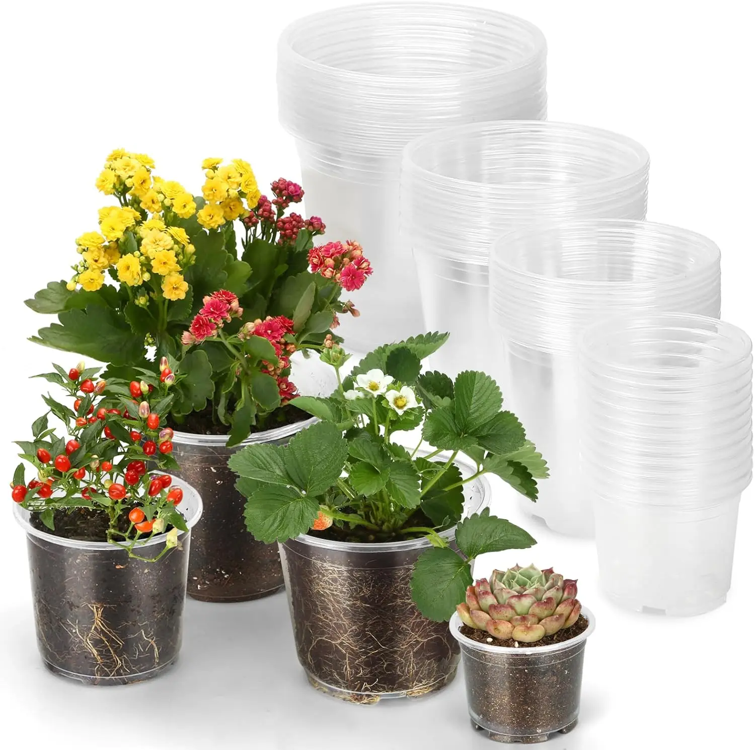 

48 Pack 7/6/5/3.5 Inch Clear Plastic Pots for Plants, Clear Nursery Pots with Drainage Holes, Reinforced Plastic Nursery