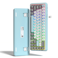 Womier WK60 Wireless Mechanical Keyboard Hot Swap Gasket Gamer Keyboard Bluetooth/2.4GHz/USB-C RGB Backlit Keyboard for Win Mac