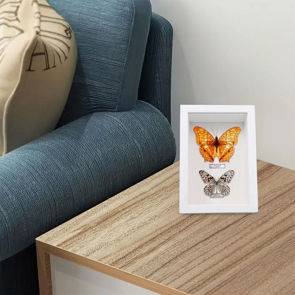 2PCS Display Photo Frame Rustic Dry Flower Wooden Case Specimen Board Dried Insect Glass Box Durability Long Lasting