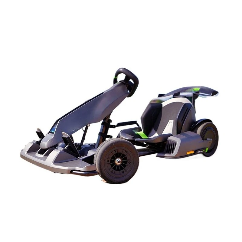 2025 Electric Go Kart Pro High Quality Electric Adult Go Kart for Sale