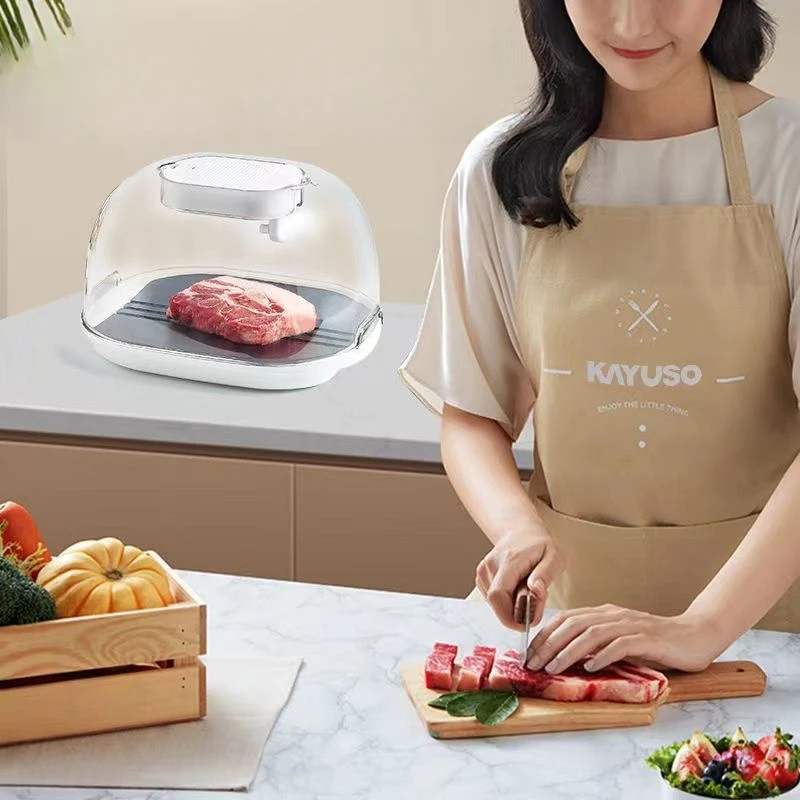 

Household Fresh-keeping and Thawing Cover, Automatic Quick De Icing and Thawing Machine, Food Thawing Plate