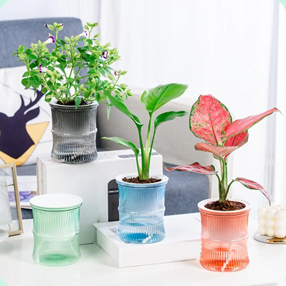 INS Imitation Glass Hydroponic Flower Pot Home Vase Decor Transparent Soilless Plant Pots Green Plants Pot For Home Decoration