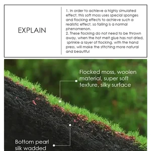 7 en çok satılan yassı çim, no. 4