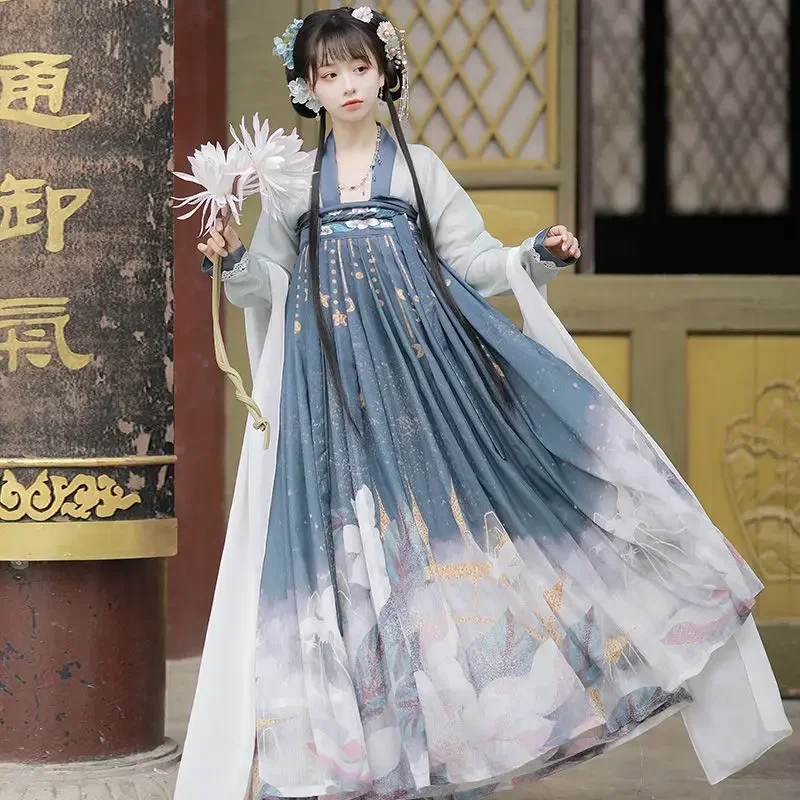 Vintage Floral Embroidery Dress Chinese Traditional Hanfu Women Elegant Princess Cosplay Stage Costumes Party Dance Clothing